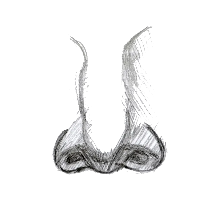 Nose design course