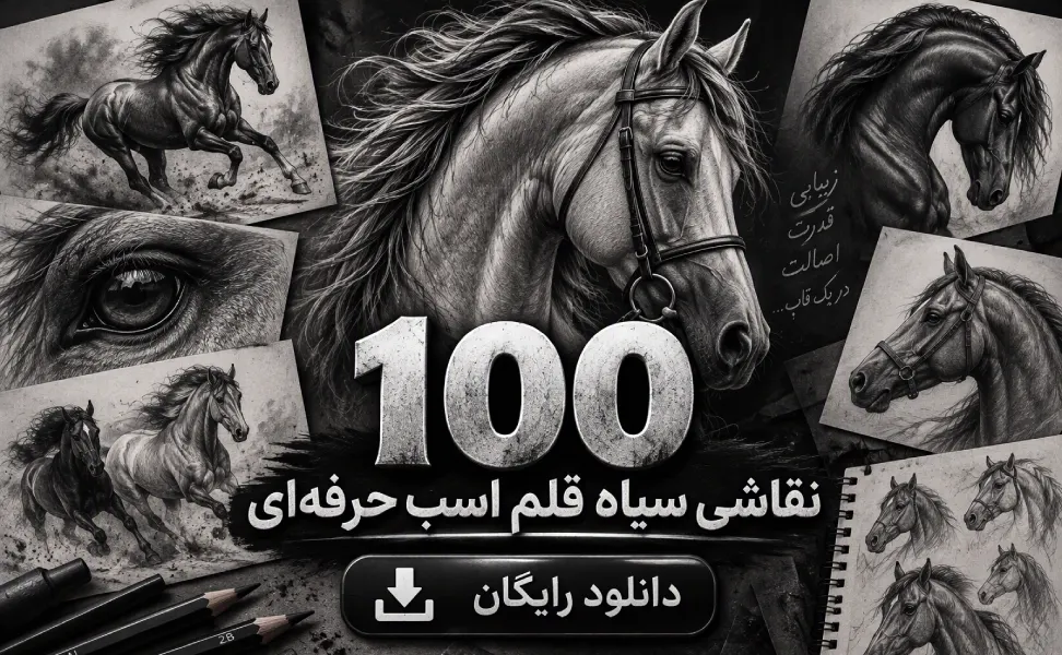 سیاه قلم اسب حرفه ای